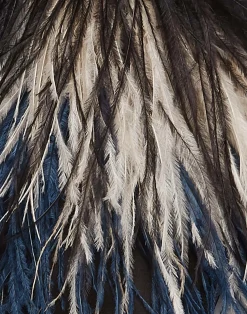 La DoubleJ Scarpe|Accessories<Feather SlipperSolid Black in Raso